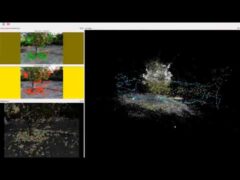 3D Tree scanning using RTAB,  Bebop2 + Realsense 